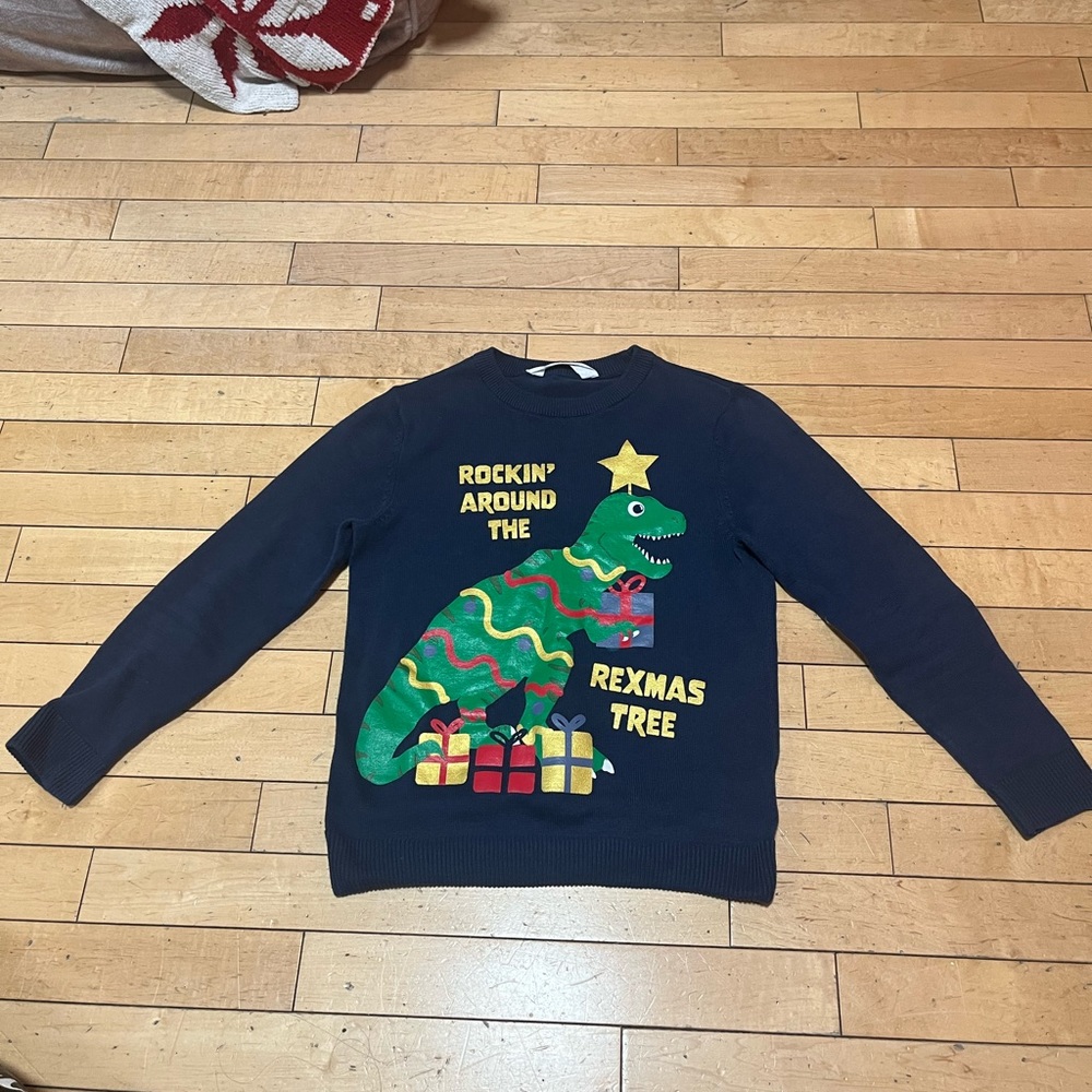 Boys Dinosaur Christmas Sweater
